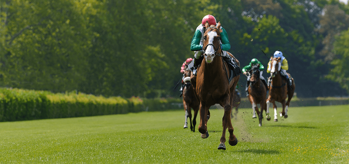 Continuous looks to make history in Paris, but how long can top horses hold peak form?