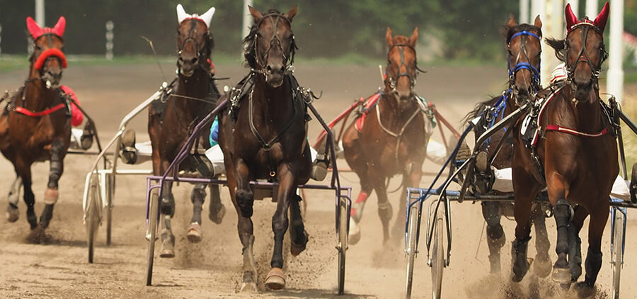 Tre svenska hästar till start i Prix d&#039;Amérique