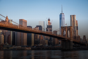 Best New York Betting Sites 2024